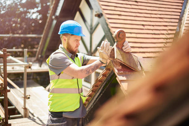 Best Storm Damage Roof Repair  in Greenback, TN